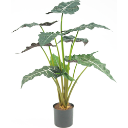 Hoyz Greenery - Kunstplant Alocasia 67 cm