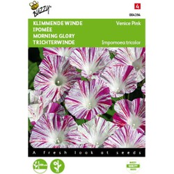 5 stuks - Ipomoea Tricolor Venice Pink Tuinplus