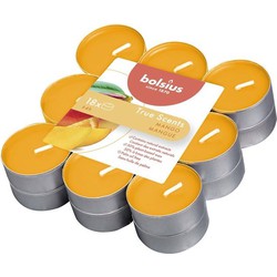 Duftende Teelichter 4h True Scents Mango - Bolsius
