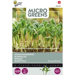 5 stuks - Microgreens Borage - Buzzy