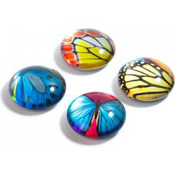 Trendform Magnet Eye - Vlinder - set van 4 verschillende