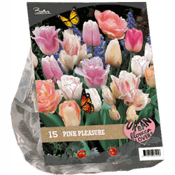 2 stuks - Urban Flowers Pink pleasure per 15