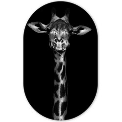 MuurOvaal Giraffe