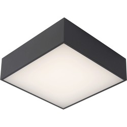 Strakke antraciet vierkante plafondlamp voor badkamers 12W