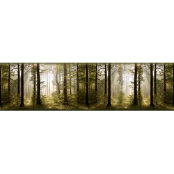 Sanders & Sanders zelfklevende behangrand bosrijk landschap mosgroen - 14 x 500 cm - 600068
