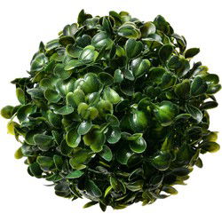 Clayre & Eef Buxus bol Ø 12 cm Groen Kunststof Rond
