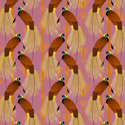Paradise Bird Roze Zelfklevend Patroon Behang 250x260