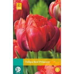 3 stuks - Tulipa Red Princess 5 bollen