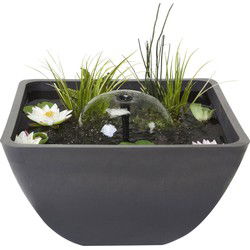 Mini Pond Square 55 x 55 cm