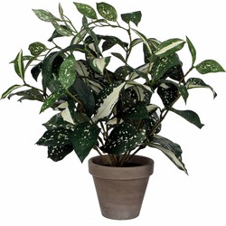 Cordyline kunstplant/kamerplant groen in grijze sierpot H33 cm x D25 cm - Kunstplanten