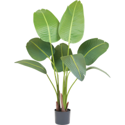 Kunstplant Strelitzia 120 cm