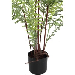 PTMD Mimosa Kunstplant - 85 x 50 x 100 cm  - Kunststof - Groen