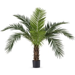 Greenmoods Palm Phoenix Canarie - Phoenix canariensis - Nep plant - 1 Stuk - 160cm