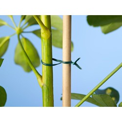 Bindband groen met metalen kern geplastificeerd 100m