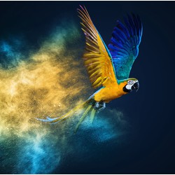 Fine Asianliving Vliegende Papagaai Digitale Print 95x95cm Acryl Glas