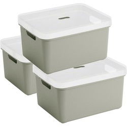 3x Sunware opbergbox/mand 32 liter lichtgroen kunststof met transparante deksel - Opbergbox