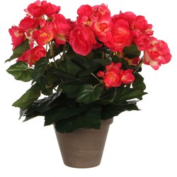 Mica Decorations Begonia Kunstplant in Bloempot Stan - H30 x Ø25 cm - Donkerroze