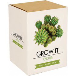 Gift Republic Cactus Planten