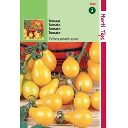 2 stuks - Tomaten Yellow Pearshaped