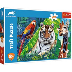 Trefl Trefl Trefl 300 - Verbazingwekkende dieren / Discovery Animal Planet