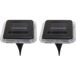 Progarden Buiten lampje/prik spots - set 2x - solar verlichting - tuin verlichting - LED - D10 cm - Grondspotjes