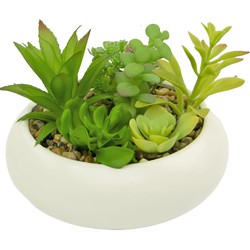 Greenmoods Kunst Vetplanten - Mix - Met Sierpot - 1 Stuk - 18cm