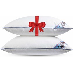Fabiola - Zacht Halfdons Hoofdkussen - Set van 2 stuks - DownPass gecertificeerde Dons & Veren - Ergonomisch - 60x70cm