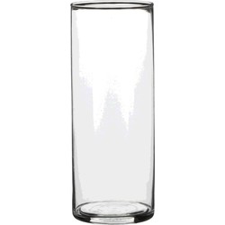 1x Ronde glazen cilinder vaas/vazen transparant 24 cm lang - Vazen