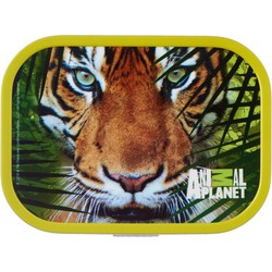 Lunchbox Campus Animal Planet Tijger