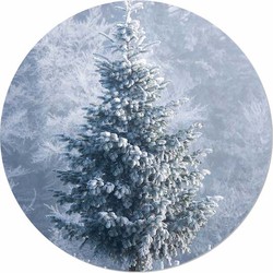 Muurcirkel Kerstboom in de Winter