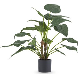 Greenmoods Kunstplant Alocasia Cucullata - Olifantsoor - Nep plant - 1 Stuk  -