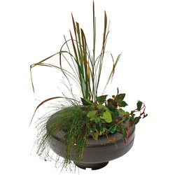 Floating Plant Basket diameter 22 Cm vijver