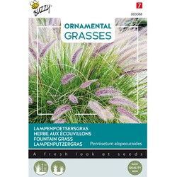 Ornamental Grasses, Pennisetum alopecuriodes