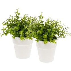 2x Groene kunstplant eucalyptus plant in pot - Kunstplanten