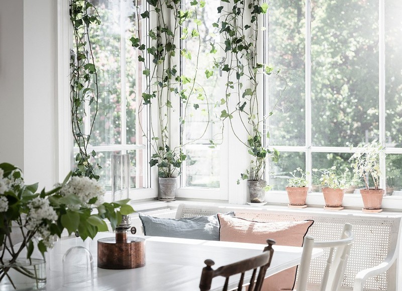 Stylingtip: hangplanten of klimop voor het raam hangen