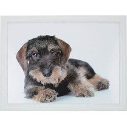 Mars & More Schootkussen - teckel print - laptray - 43 x 33 cm - Dienbladen