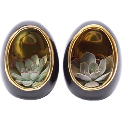 Echeveria in decoratief ei - Set van 2 - Hoogte 12 cm - Zwart, Goud