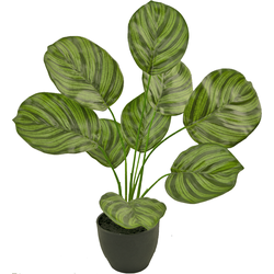 Hoyz Greenery - Kunst Calathea 48 cm  in sierpot zwart