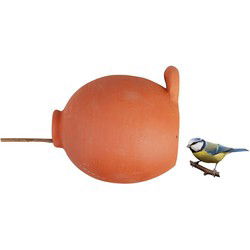 Vogelpot rond mezen en mussen