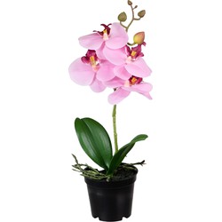 Louis Maes Kunstplant Orchidee - bloemen in het roze - 33 cm - Kunstplanten