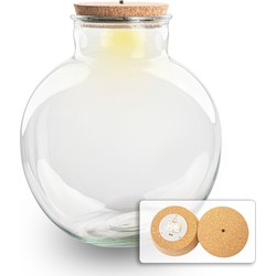 URBANJNGL - Terrariumfles met kurk - Bolder Bob - Gesloten terrarium ↑ 30 cm