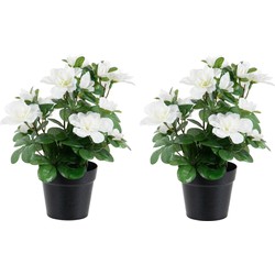 Azalea Kunstbloemen - 2 stuks - in pot - wit - H25 cm - Kunstbloemen