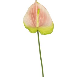 Greenmoods Kunstbloem Anthurium - Anthurium - Nep plant - 1 Stuk - 65cm - Roze