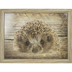 Mars & More Schootkussen - egels print - laptray - 43 x 33 cm - Dienbladen