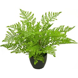 Greenmoods Kunst Varen - Nephrolepis exaltata - Zwarte sierpot - Nep plant - 1 Stuk - 35cm