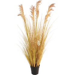 Greenmoods Kunst Grasplant Sorghum - Sorghum bicolor - Nep plant - 1 Stuk - 130cm