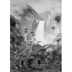 Komar fotobehang Jurassic Waterfall zwart wit - 200 x 280 cm - 610837