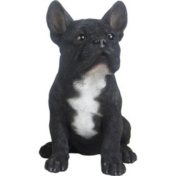 Tuinbeeld zwarte Franse Bulldog 29 cm - Beeldjes