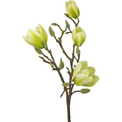 Kunstbloem Magnolia 50 cm wit/groen