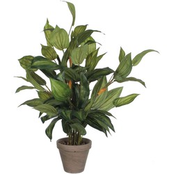 Mica Decorations Hosta Kunstplant - H65xØ40 cm - Terra pot - Groen